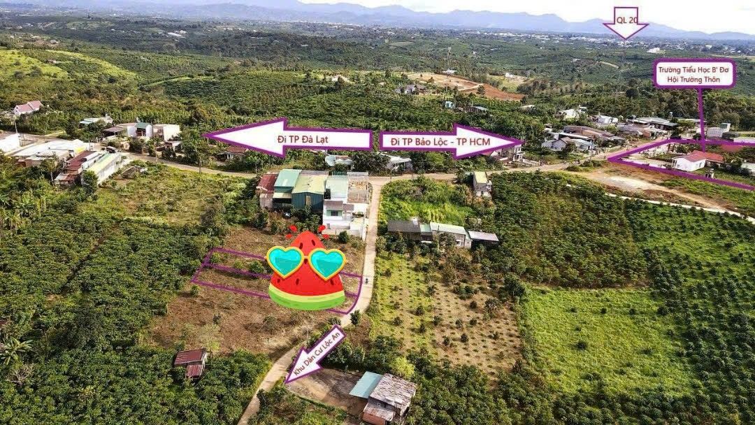 Đất Lộc An Bảo Lâm 200m² giá 1.6 tỷ - Đường thông, tiện ích đầy đủ!