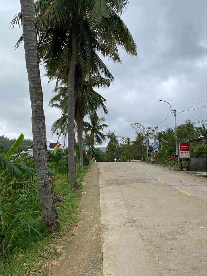 Đất nền góc 2 mặt tiền ĐT 642, Xuân Thọ 2, Sông Cầu 795m² - Giá chỉ 1.6 tỷ!