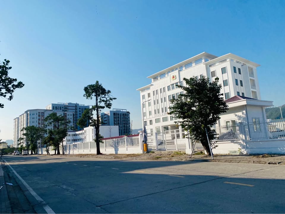 Biệt thự Cẩm Bình 250m² giá cắt lỗ chỉ 20 triệu/m² - Cơ hội vàng cho nhà đầu tư!