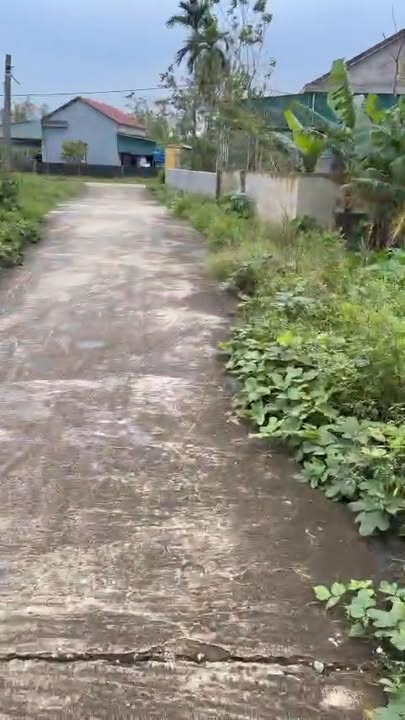 Lô đất 176m² tại Thị Trấn Cẩm Xuyên - Giá chỉ 650 triệu, Sẵn sàng sở hữu ngay!