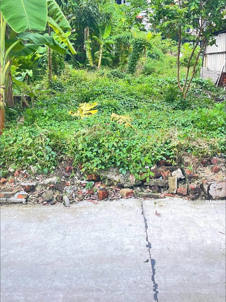 Đất thổ cư 51m² tại Quang Minh, Đông Anh giá 2.1 tỷ - Đường thông ô tô