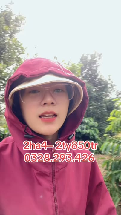 Farm đất đỏ Ea Ral 24.000m² giá 2.85 tỷ - Đầu tư sinh lời ngay!