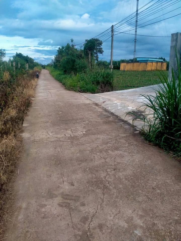 Đất thổ cư 120m² thôn Thanh Phong, xã Xuân Phú, 770m² giá 490 triệu - Đầu tư sinh lời vượt trội!