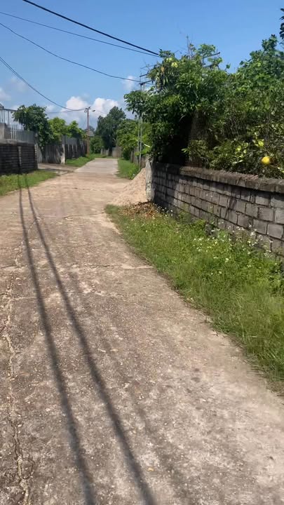 Đất nền Lục Ngạn 288m² giá 1 tỷ - Đầu tư sinh lời hấp dẫn!