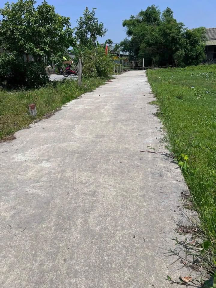 Đất nền Phong Chương 187.5m² giá chỉ 300 triệu - Cơ hội đầu tư hấp dẫn!