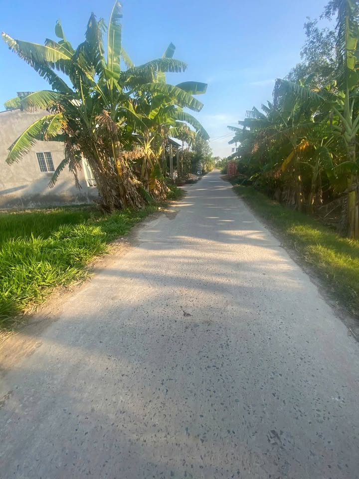 Đất nền Hòa Lạc A, Châu Thành 4400m² - Mặt tiền đường bê tông lớn, giá thỏa thuận!