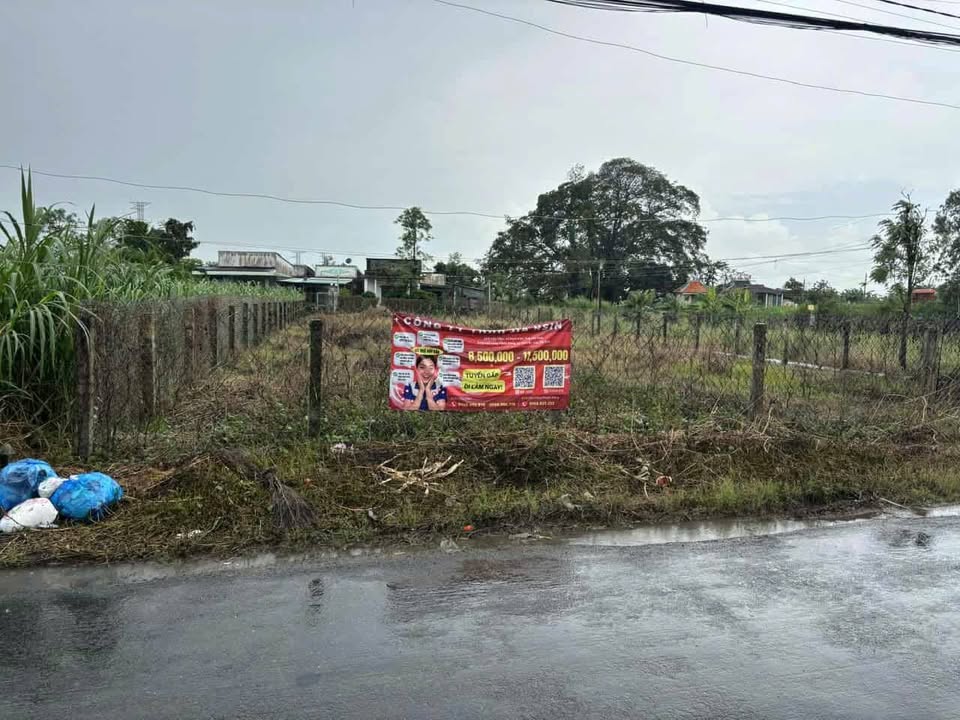 Đất nền ấp Thuận Trị, Bình Tân, 560m² giá chỉ 950 triệu - Sổ đỏ chính chủ!