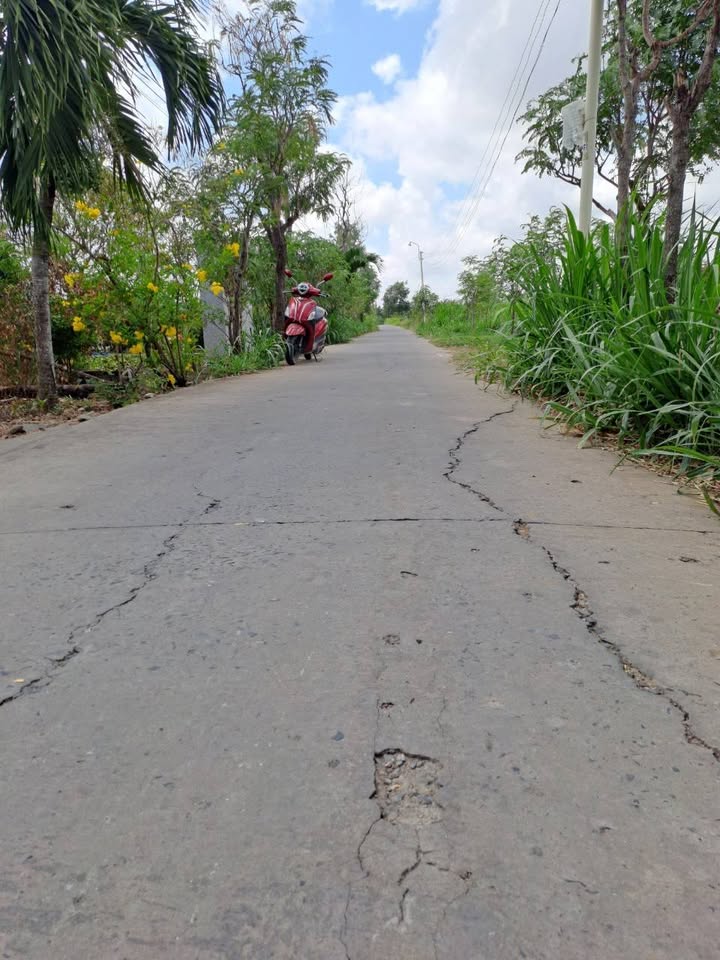 Đất nền Tân Đông Gò Công Đông Tiền Giang 225m² giá chỉ 460 triệu - Sổ đỏ chính chủ sang tay ngay!