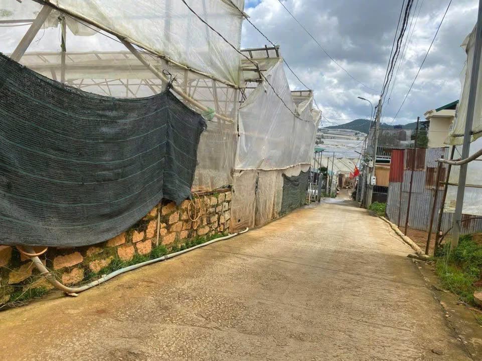 Đất nông nghiệp 629m² tại trung tâm Thái Phiên, Đà Lạt - Giá chỉ 10.1 tỷ!