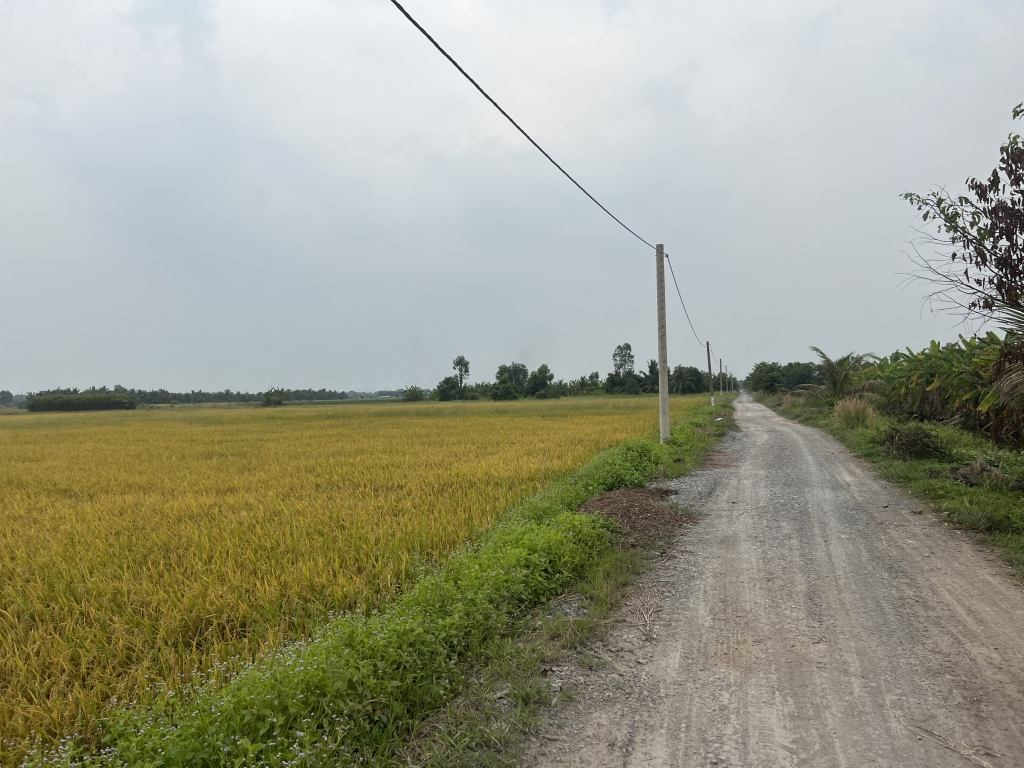 Đất nền Lê Minh Xuân, Bình Chánh 30.000m² giá 5 triệu/m² - Vị trí đắc địa cho đầu tư!