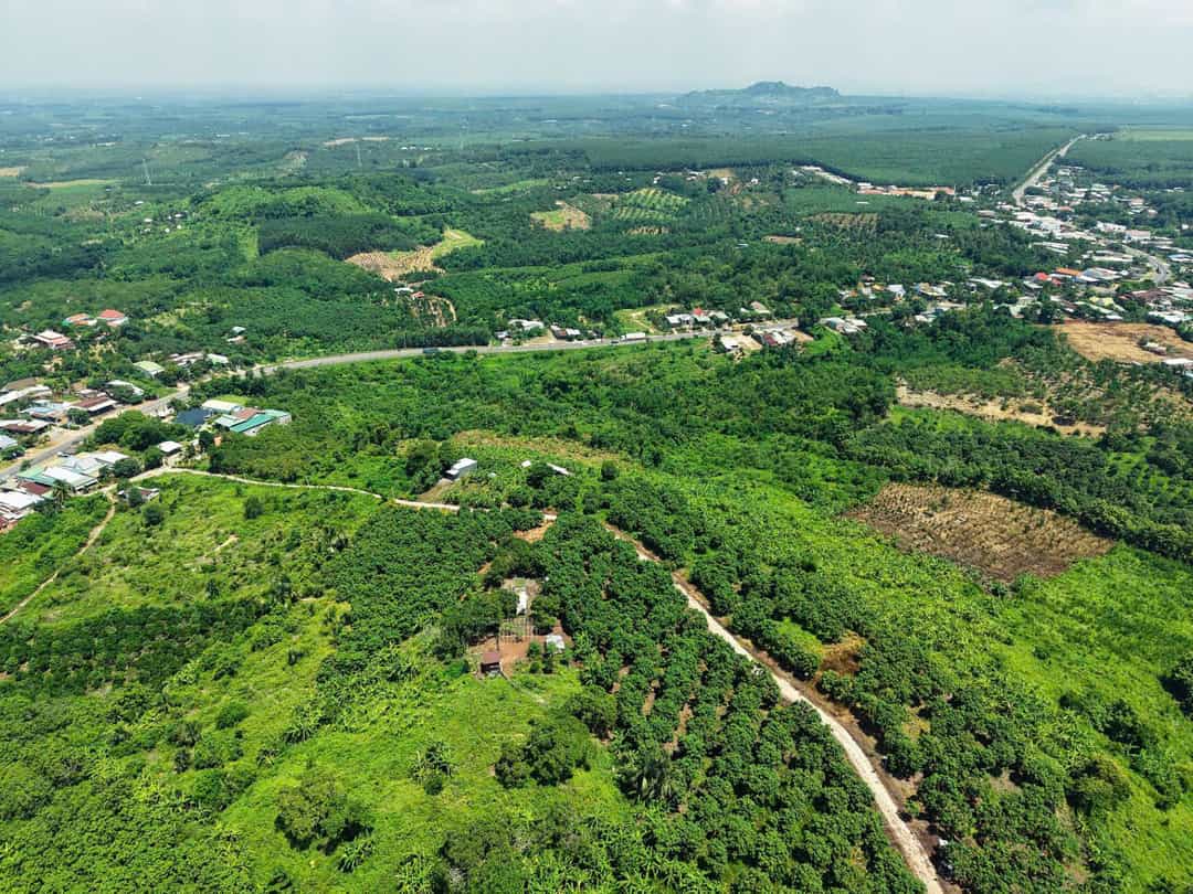 Đất nền La Ngà 1000m² giá chỉ 850 triệu - View đón gió Hồ Trị An lý tưởng!