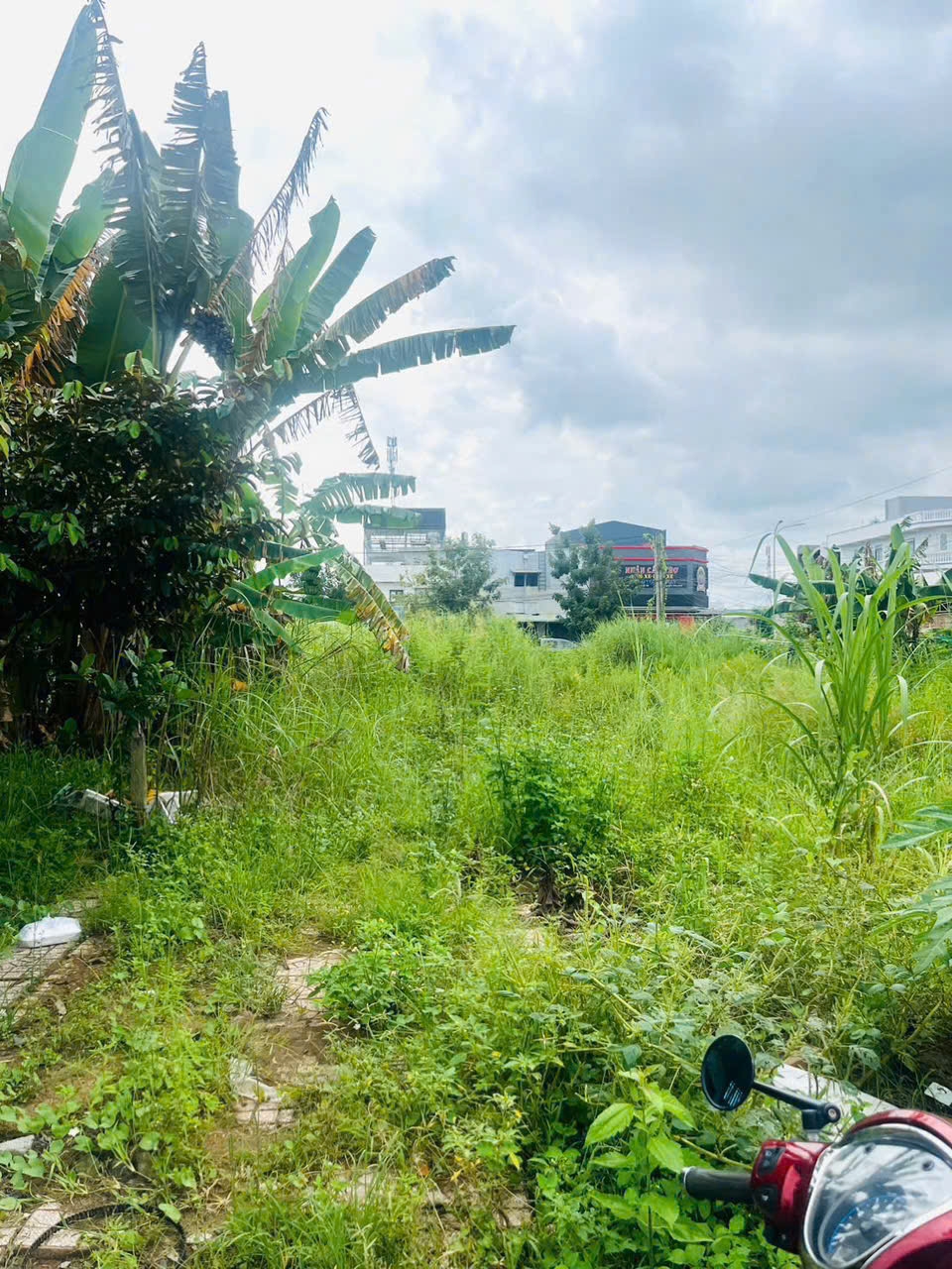 Bán nền đẹp góc đường số 2 KDC Chiến Thắng - 81m² chỉ 2.29 tỷ