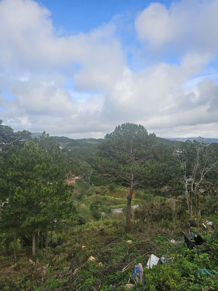 Đất nền Đà Lạt 905m² giá 35 tỷ - View đẹp tuyệt vời!