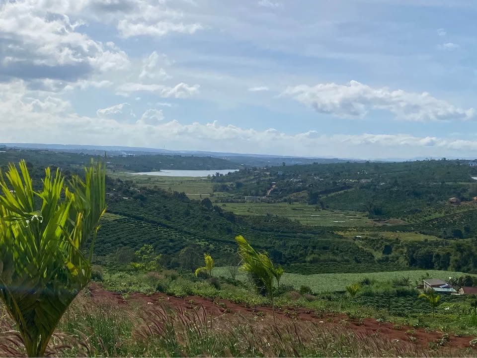 Đất nền Tân Hà Lâm Hà 2000m² giá 1.3 tỷ - View thoáng đẹp, tiện nghi đầy đủ!