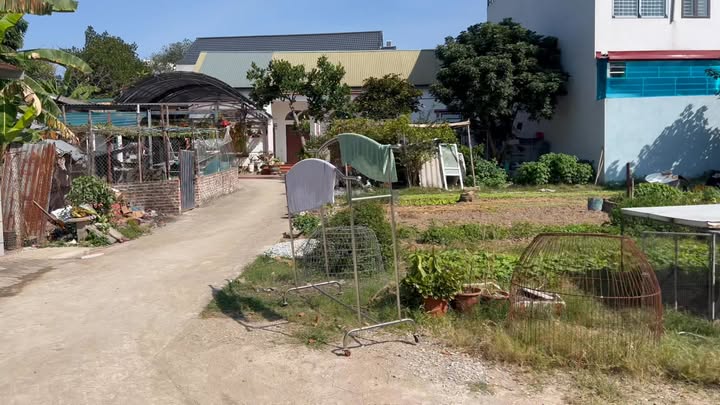 Đất nền Định Trung Vĩnh Yên 77m² giá 1.42 tỷ - Cần bán gấp trong ngày!