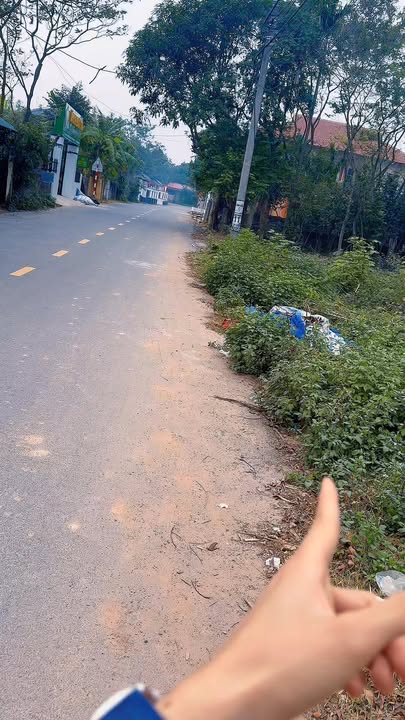 Đất thổ cư 94m² Tổ dân phố Đồng Hội, Tam Đảo - Giá chỉ 1 tỷ, đầu tư sinh lời cao!