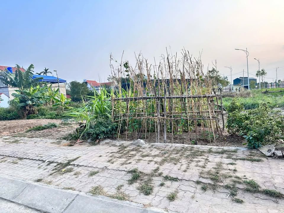 Đất nền Chí Minh, Khoái Châu 141m² giá chỉ 2x triệu - Tiềm năng đầu tư hấp dẫn!