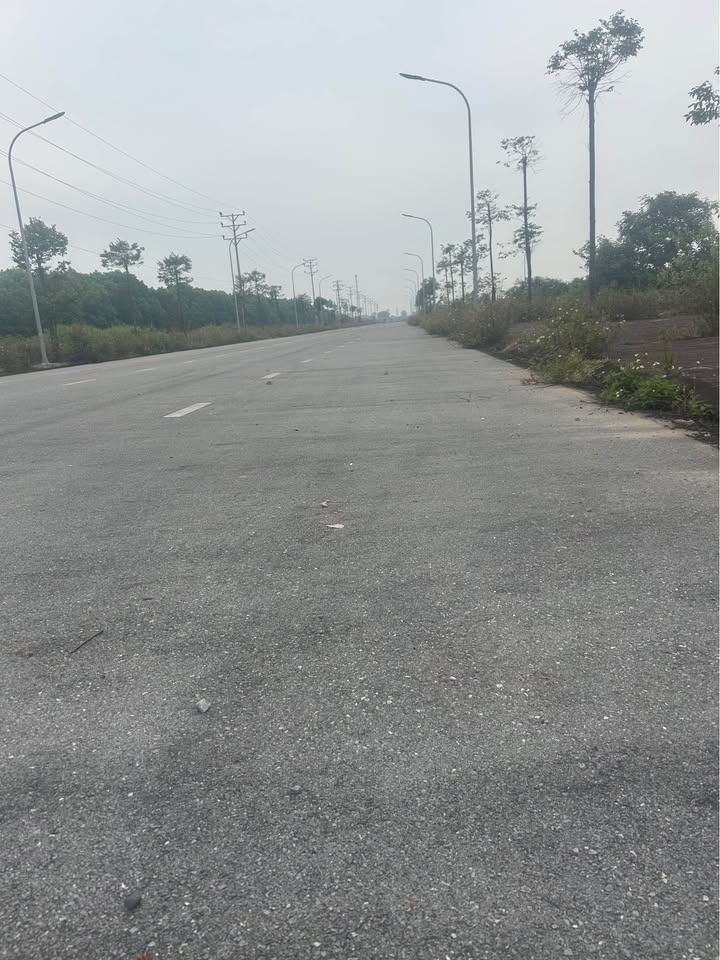 Đất nền Dự án Dũng Liệt 100m² giá thỏa thuận - Hướng đất đón tài lộc!