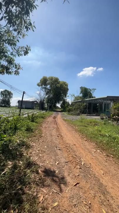 Đất thổ cư Long Chữ Bến Cầu 335m² - Sổ hồng chính chủ, giá thỏa thuận!