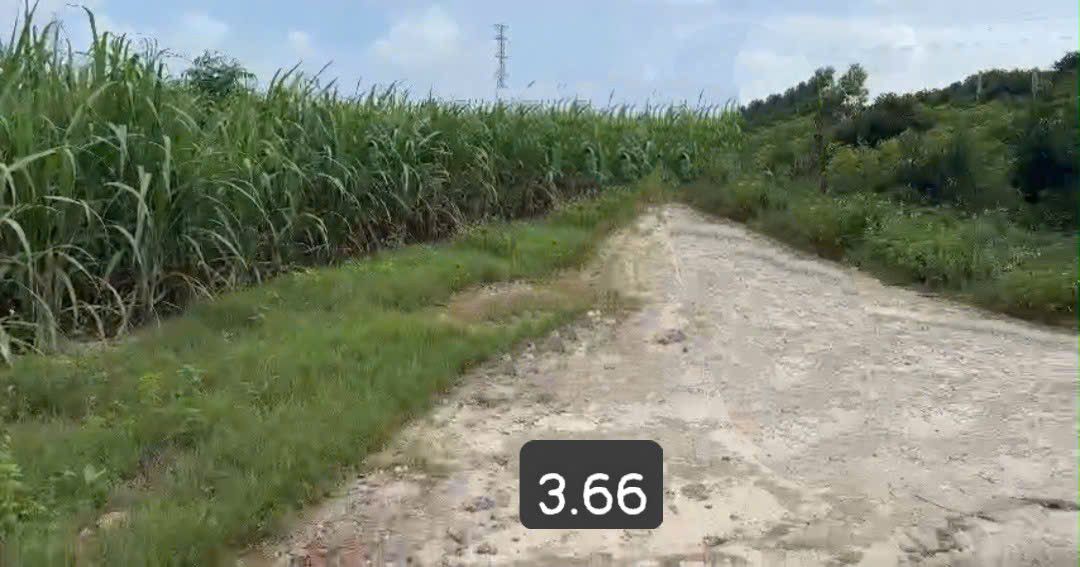 Đất nền Cam An Nam, Cam Lâm 8300m² giá 9.96 tỷ - Đường ô tô tận nơi!