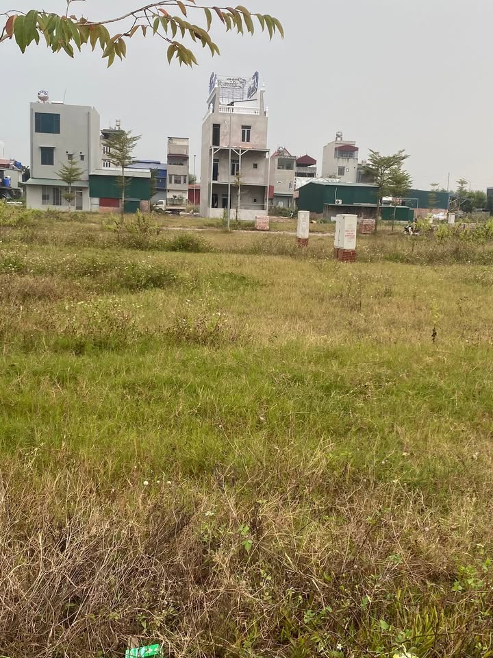 Đất nền Tân Hưng Lạng Giang 140m² - Kinh doanh sầm uất ngay mặt đường đôi!