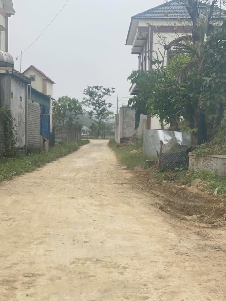 Đất nền Bình Minh Yên Thành 314m² giá 1.6 tỷ - Mặt tiền 8m thuận lợi kinh doanh!