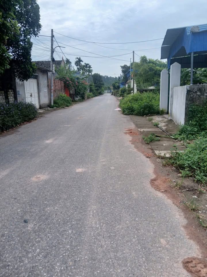 Đất nền Lê Ích Mộc, Thủy Nguyên 102m² giá 1 tỷ - Đầu tư sinh lời ngay!