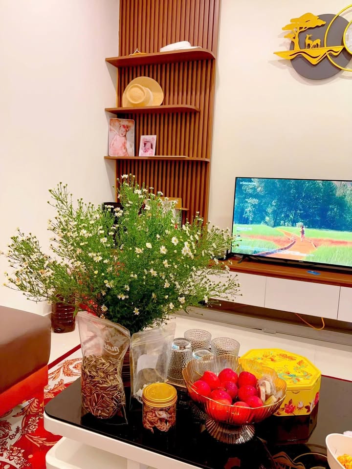 Căn hộ T&T Vinh 50m² giá 7 triệu - Full nội thất tiện nghi!