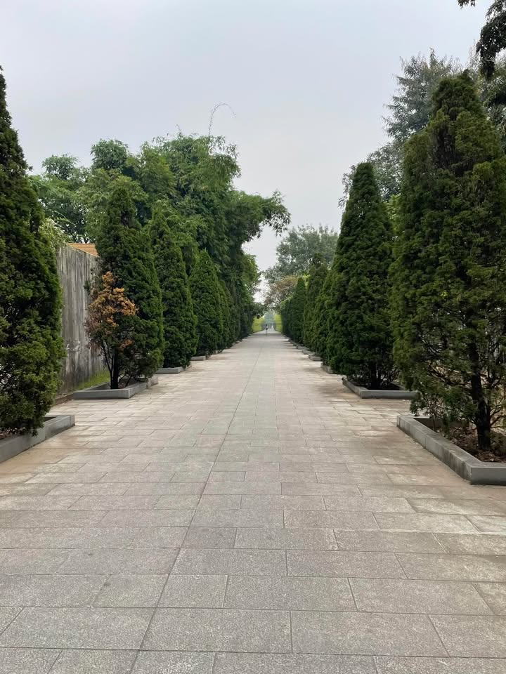 Đất nền Hồ Tùng Mậu 55m² giá thỏa thuận - Vị trí đắc địa, ô tô vào tận nơi!