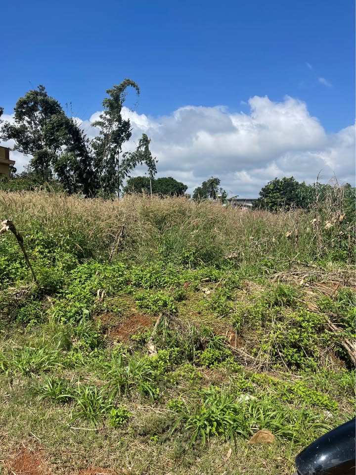 Đất nền Đức Mạnh Đắk Mil 696m² giá 2.75 tỷ - Đầu tư sinh lời ngay!