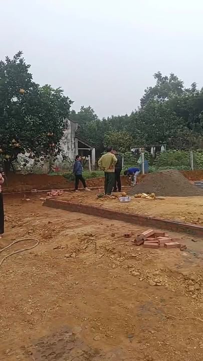 Đất nền Hưng Long, Yên Lập 105m² giá chỉ từ 3xx triệu - Cơ hội đầu tư sinh lời!