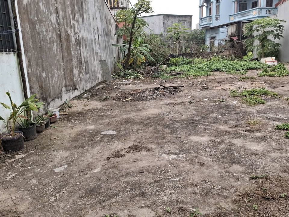 Đất nền Kim Đằng, Lam Sơn, Tp Hưng Yên 98m² giá 2 tỷ - Ô tô vào tận nơi!