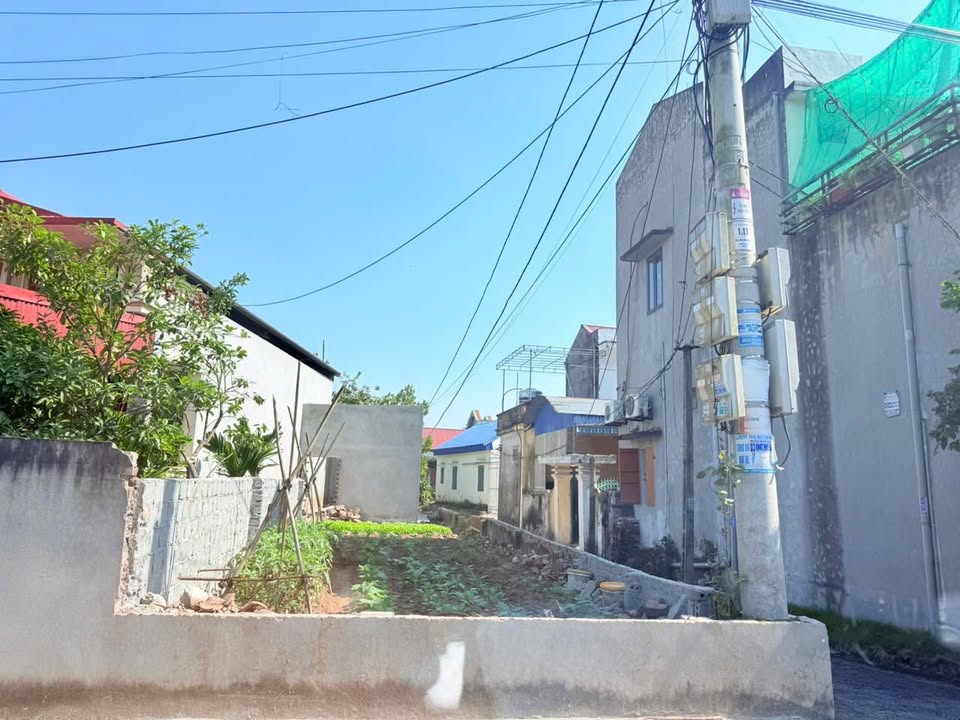 Đất nền Liên Phương, Hưng Yên 84m² giá 3 tỷ - Vị trí đắc địa, sổ hồng chính chủ!