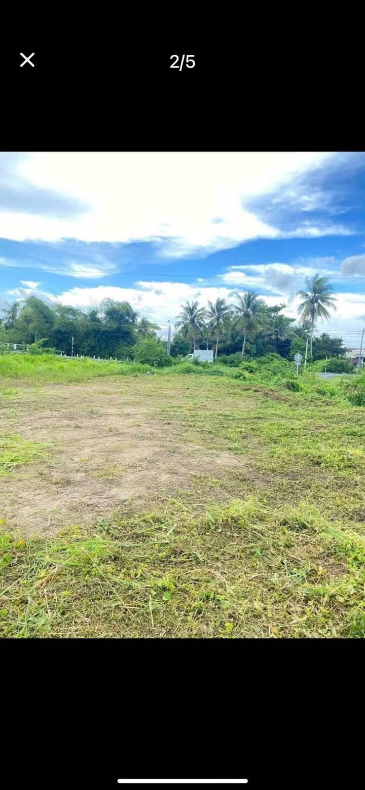 Bán đất mặt tiền đường 909, thị trấn Long Hồ, 217m² giá 1.38 tỷ - Đầu tư sinh lời ngay!