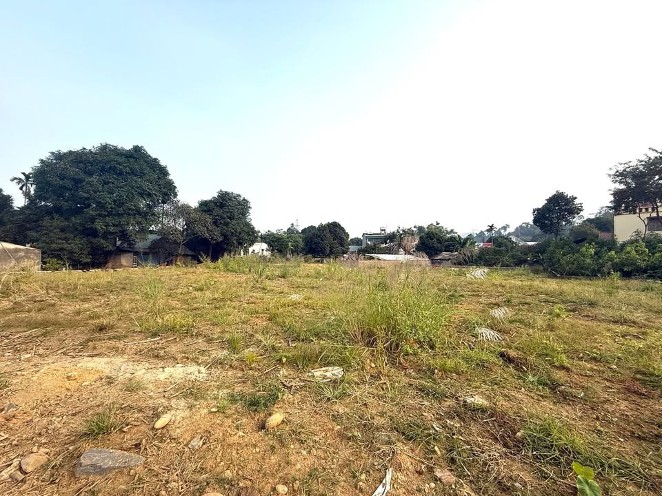 Đất thổ cư 645m² tại thôn Bản Bay, xã Gia Phú giá 3 tỷ - Tiềm năng đầu tư cao!