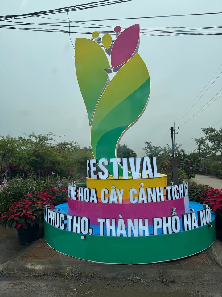 Đất lô góc Tích Giang Phúc Thọ 69m² - Giá tốt, đầu tư sinh lời!