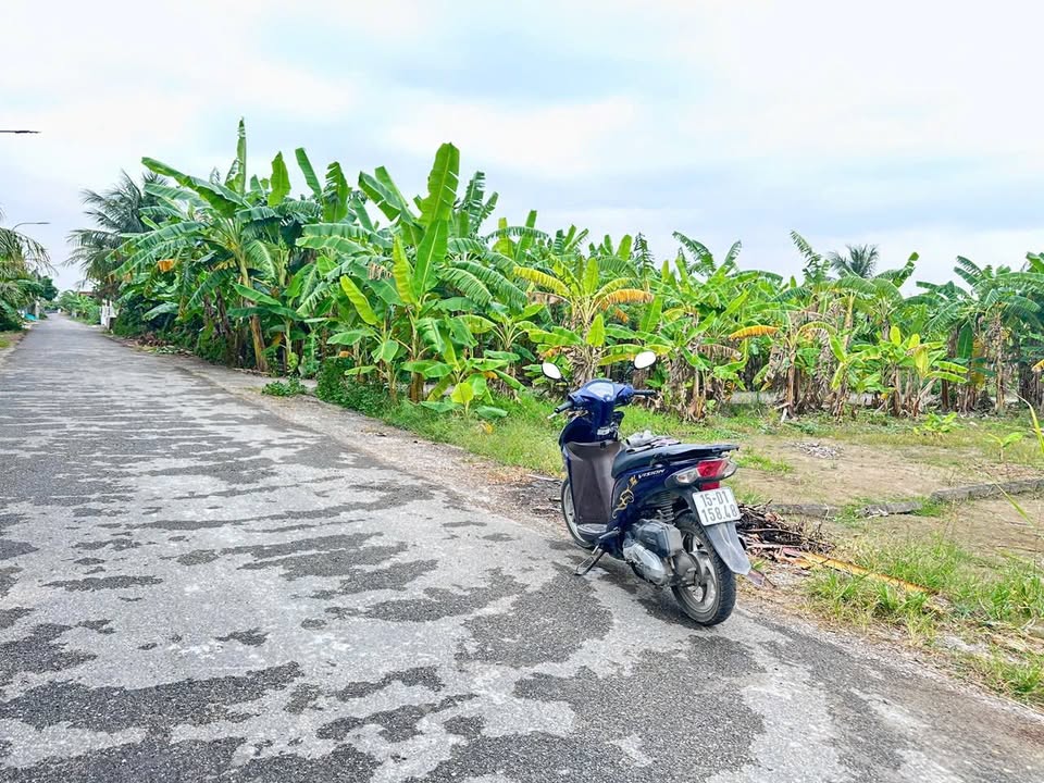 Đất lô góc An Trường, Hải Phòng 72m² giá 1 tỷ - Gần cổng khu công nghiệp!