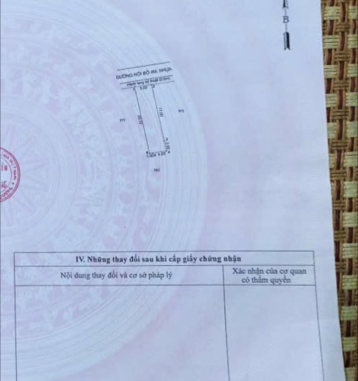 Đất thổ cư 100% Tân Phước, Dĩ An 100m² giá chỉ 2.1 tỷ - Cơ hội đầu tư sinh lời!