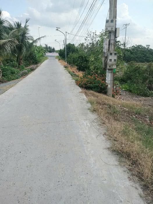 Đất nền 3100m² xã Mỹ Phú, huyện Đức Hòa giá 5.7 tỷ - Tiềm năng đầu tư lớn!