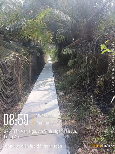 Đất nền 1000m² An Vĩnh Ngãi, Tân An giá 1.1 tỷ - Cơ hội đầu tư hấp dẫn!