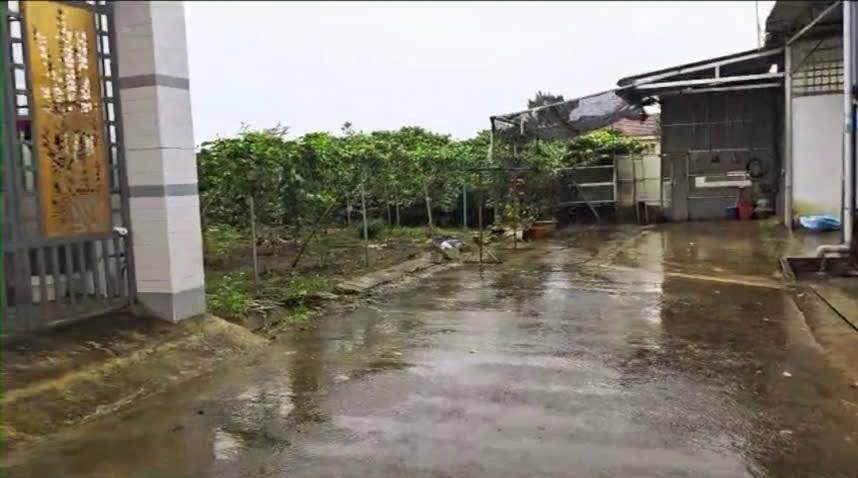 Đất nền Nguyễn Đình Chiểu, Bảo Lộc 100m² giá 1.4 tỷ - Đầu tư sinh lời ngay!