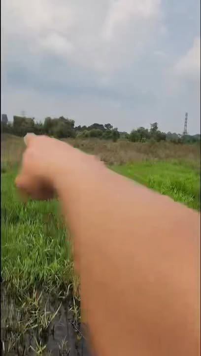 Đất trồng cây lâu năm 1500m² xã Tân Thạnh Tây, Củ Chi - Giá chỉ 850 triệu