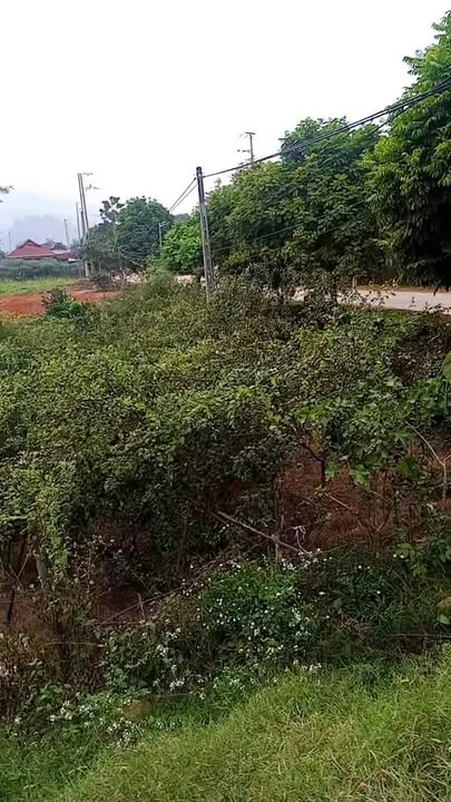 Đất nền mặt đường 40m tại xã Xuân Nha, 2800m² - Cơ hội đầu tư tuyệt vời!