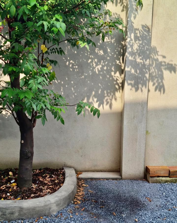 Nhà vườn Tân Hiệp, Hóc Môn 132m² giá 7 triệu - Không gian nghỉ dưỡng lý tưởng!