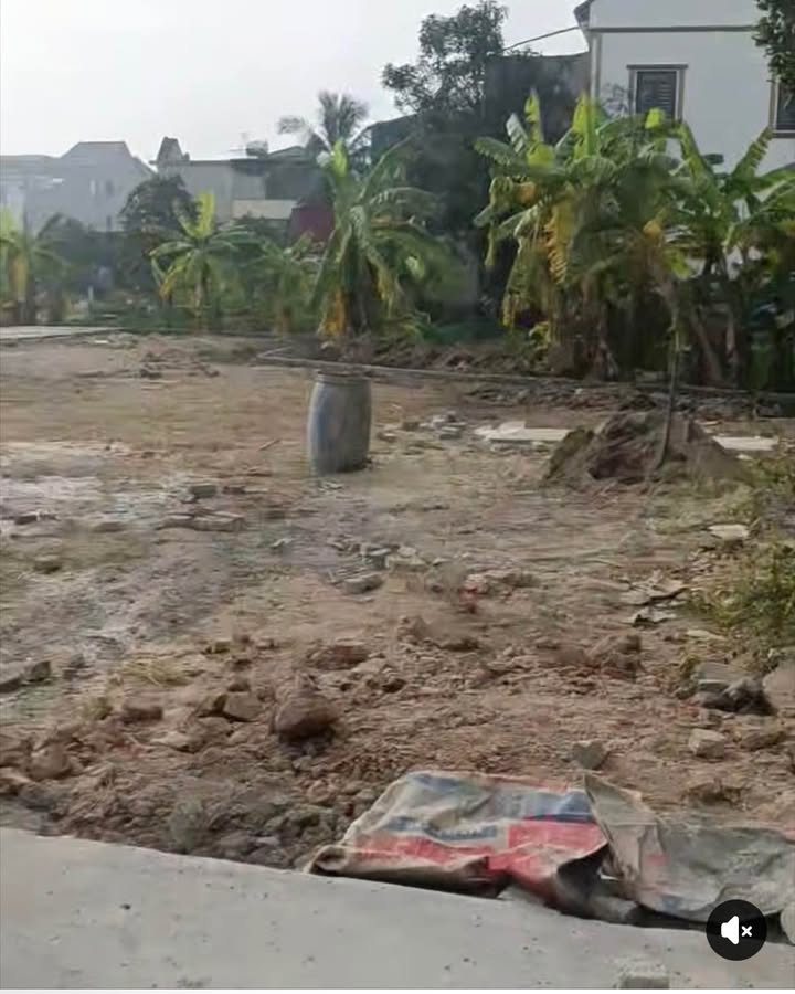 Đất nền Cao An Cẩm Giàng 80m² giá 990 triệu - Đầu tư sinh lời ngay!