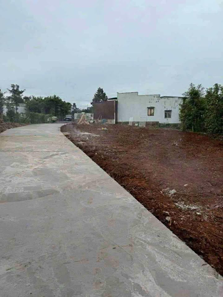 Đất nền Tân Hội, Đức Trọng 185.6m² giá 450 triệu - Đầu tư sinh lời lý tưởng!