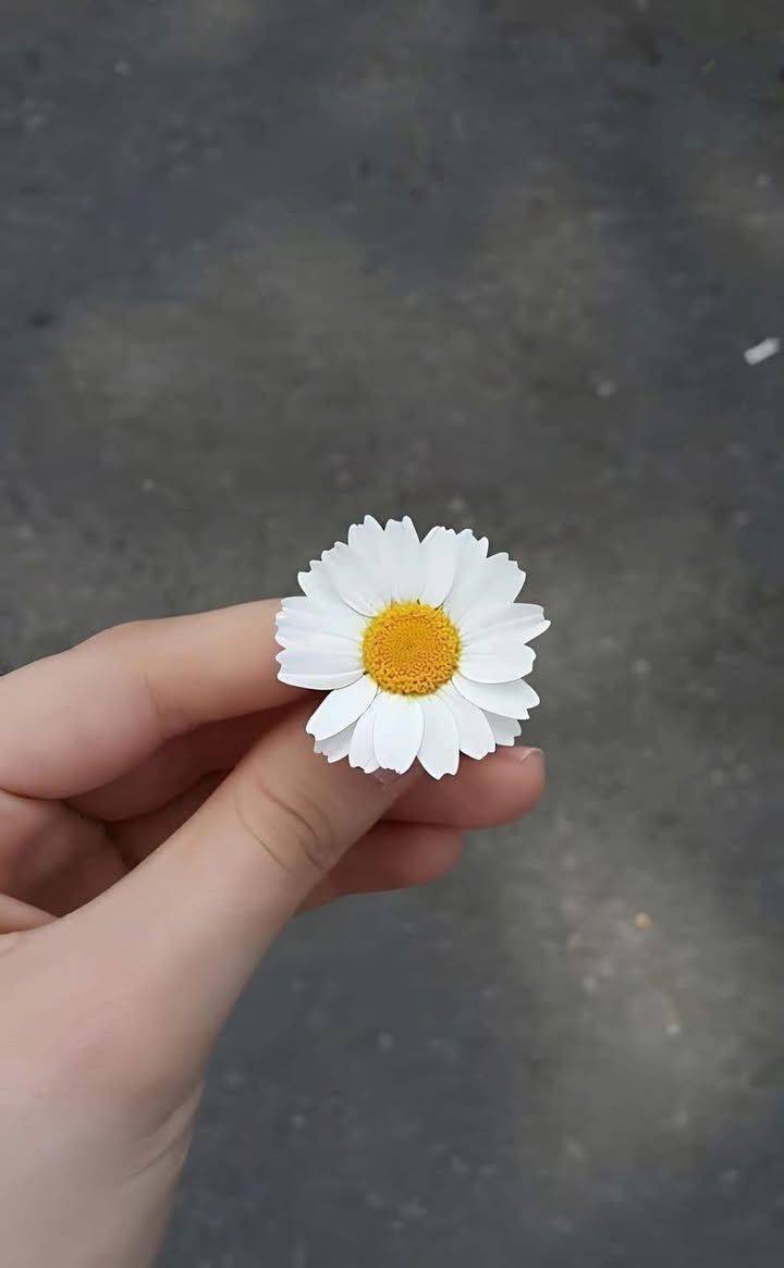 Căn hộ Lê Thành B, Bình Tân 83m² giá 2.7 tỷ - Sổ hồng chính chủ, thương lượng!