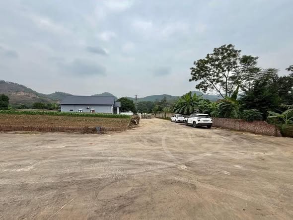 Đất nền Thọ Văn - Tam Nông 222m² chỉ 600 triệu - Cơ hội đầu tư tuyệt vời!