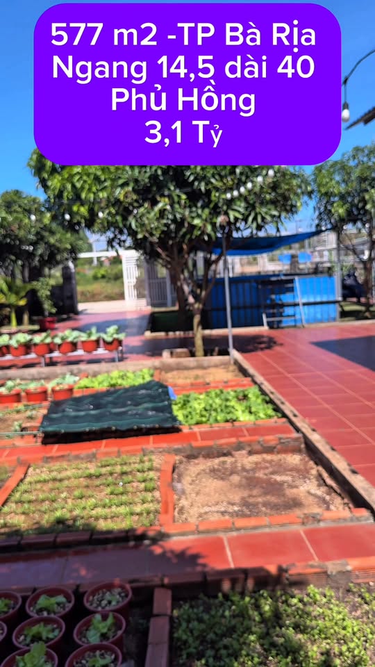 Đất nền Long Phước 577m² giá 3.1 tỷ - Cơ hội đầu tư không thể bỏ lỡ!