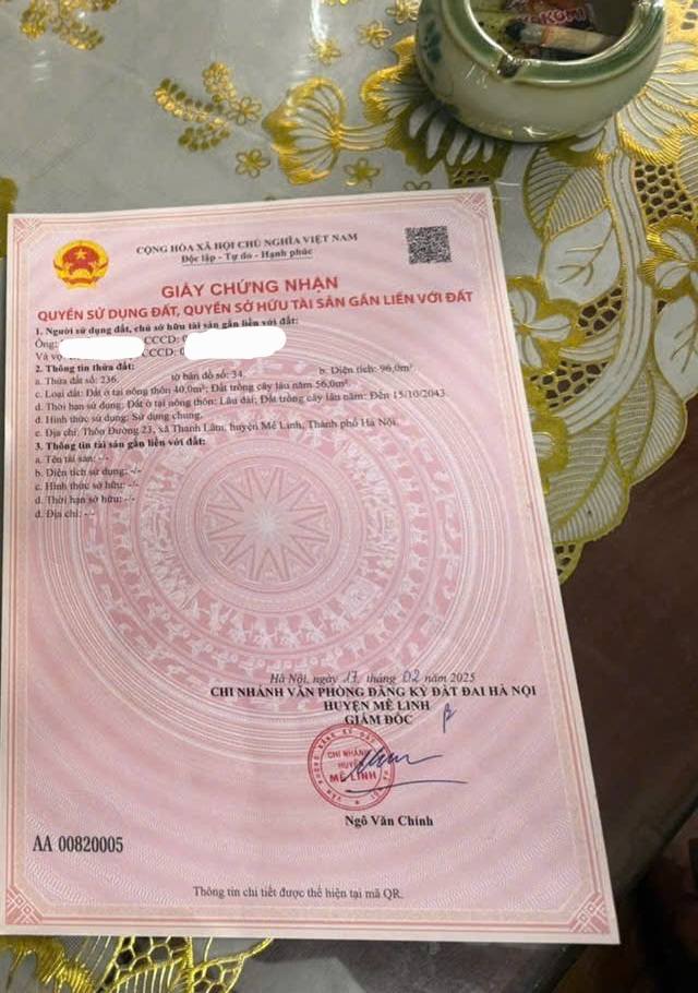 Đất nền mặt đường 312 xã Thanh Lâm, Mê Linh 96m² giá 5.76 tỷ - Vị trí kinh doanh đắc địa!